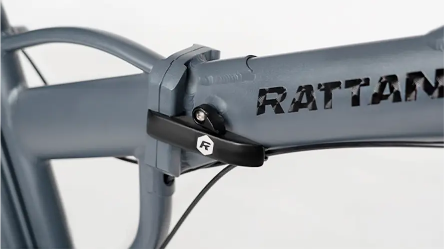 Rattan LF Pro Fat Tire Electric Bike