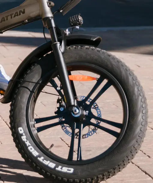 Rattan LF Pro Fat Tire Electric Bike