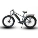 Eunorau FAT-HD Electric Bike