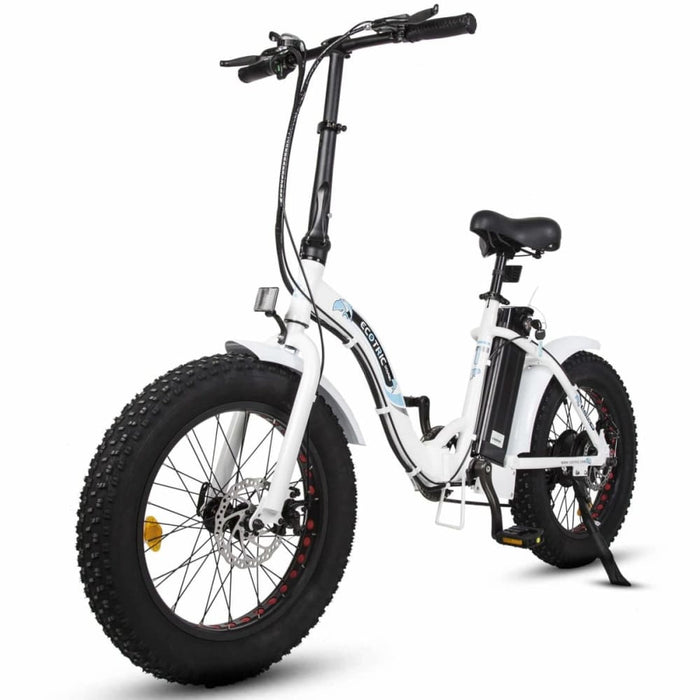 UL Certified Ecotric Dolphin Electric Bike